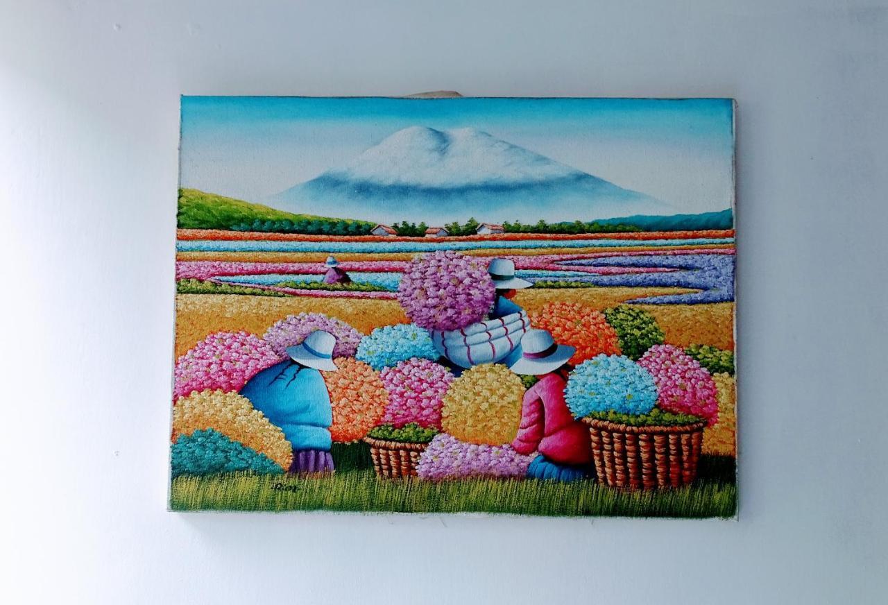 Erupcion Art Hotel & Hostel Banos  Ngoại thất bức ảnh